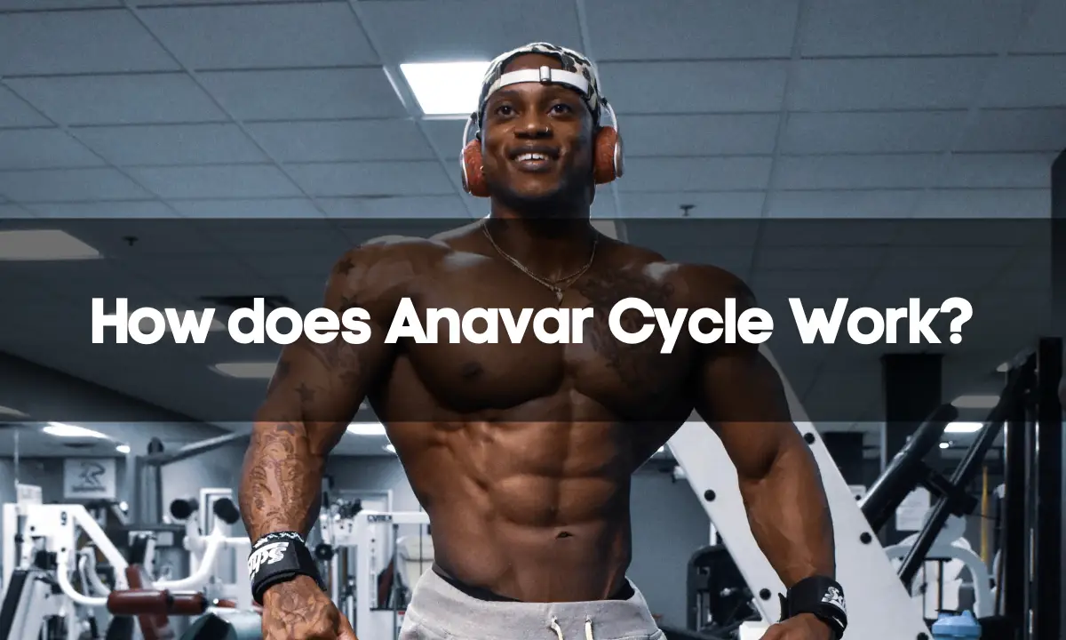 How does Anavar Cycle Work?